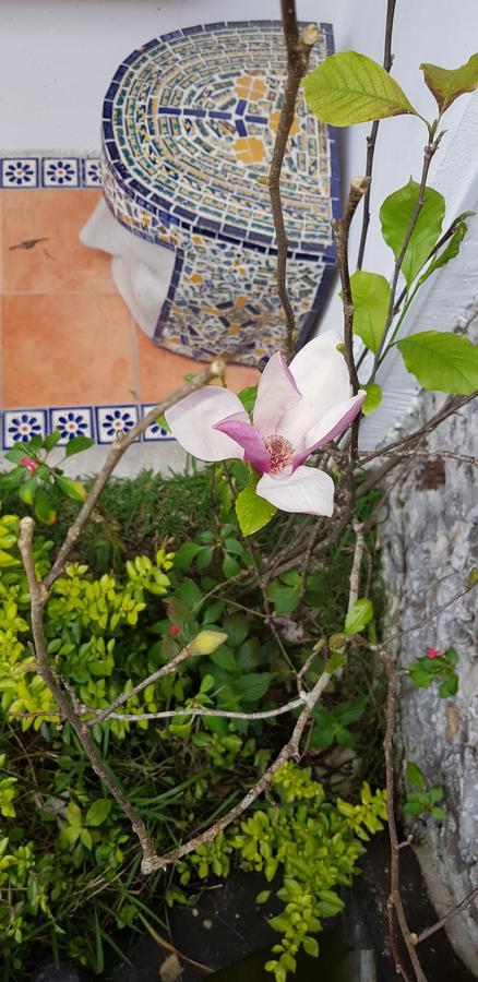 Hotel Magnolia Cuetzalán del Progreso Esterno foto